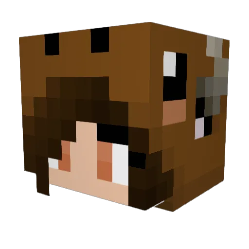 BrydieBoo Minecraft avatar head, 3D render