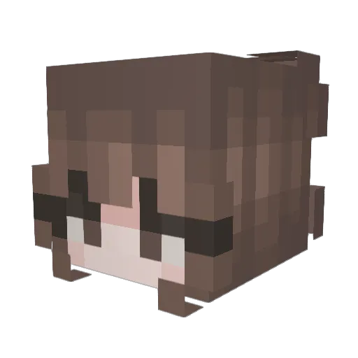 Brygen07 Minecraft avatar head, 3D render