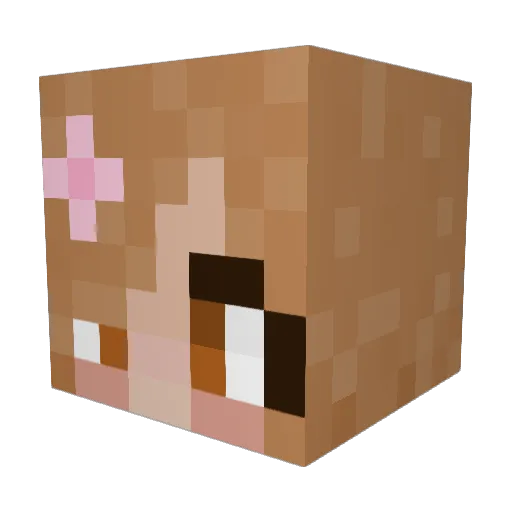 BrylieQuinn Minecraft avatar head, 3D render