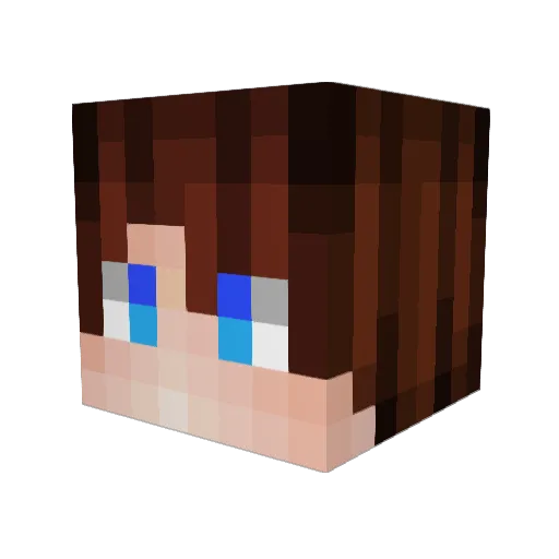 BrysonLevi Minecraft avatar head, 3D render