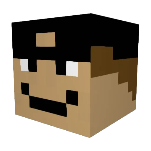 BrysonT05 Minecraft avatar head, 3D render