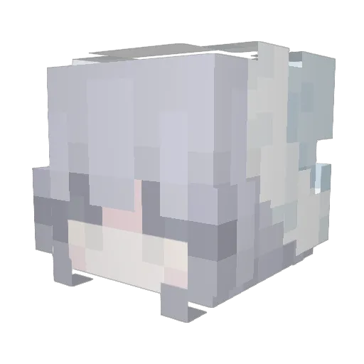 BrysonTV Minecraft avatar head, 3D render