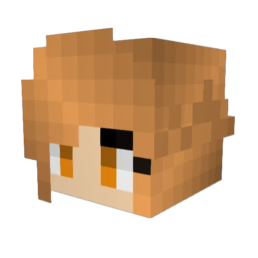 Brysun Minecraft avatar head, 3D render