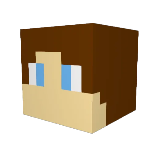 Bryton17 Minecraft avatar head, 3D render