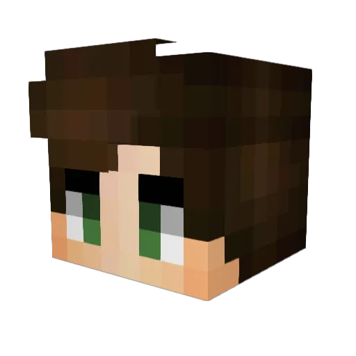 Brzd11 Minecraft avatar head, 3D render