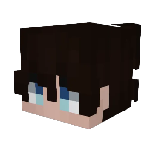 Bs1i Minecraft avatar head, 3D render