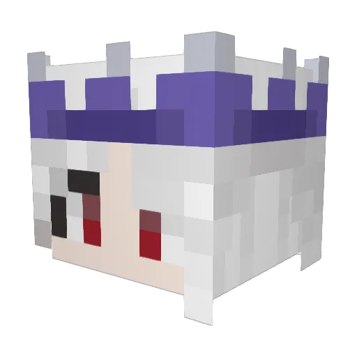 Bs_Baishe Minecraft avatar head, 3D render