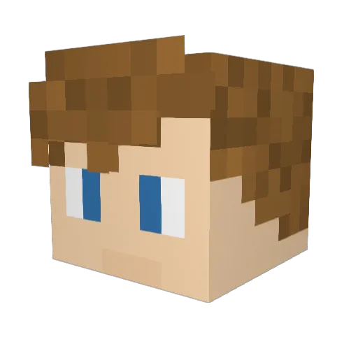 Bschwi1 Minecraft avatar head, 3D render
