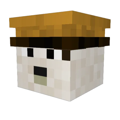 Bshaw829 Minecraft avatar head, 3D render