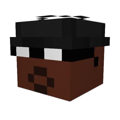 Bsteeleo13 Minecraft avatar head, 3D render