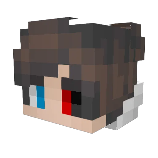 Bthebeem Minecraft avatar head, 3D render