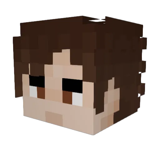 Btidsy Minecraft avatar head, 3D render