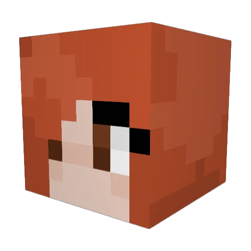 Btraff66 Minecraft avatar head, 3D render
