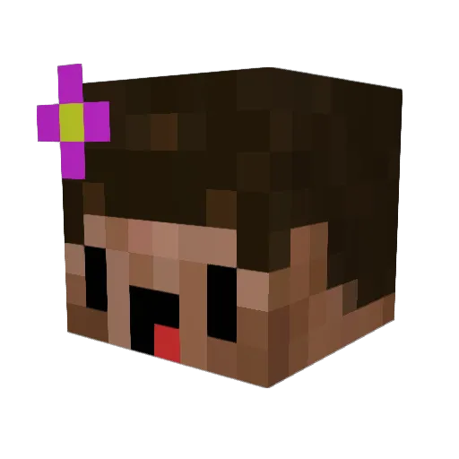 BtwJaro Minecraft avatar head, 3D render