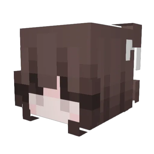 BtwSel Minecraft avatar head, 3D render