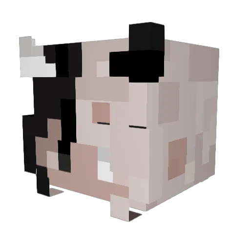 Btwelena Minecraft avatar head, 3D render