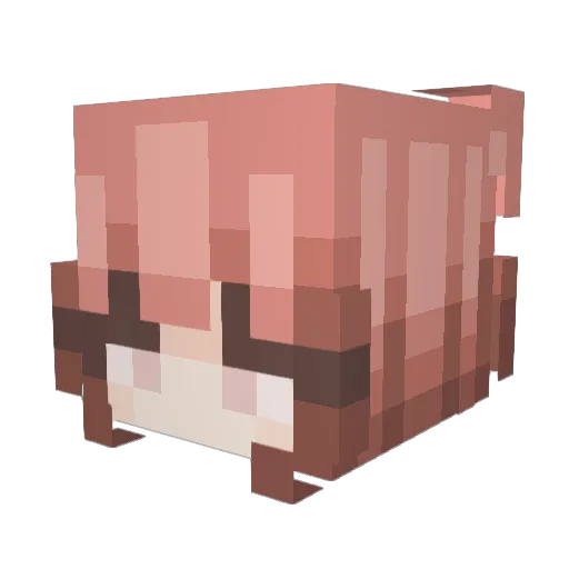 BtwoB Minecraft avatar head, 3D render