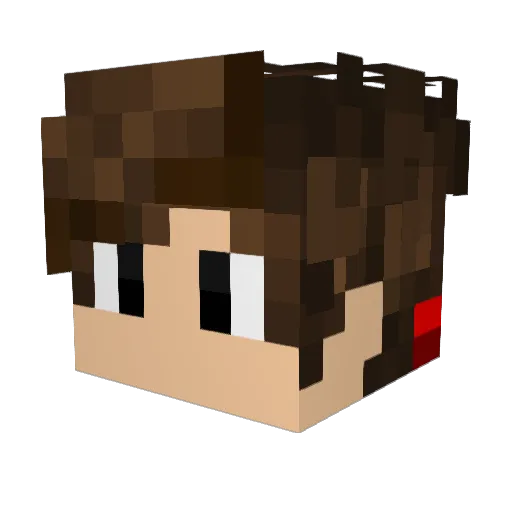 BuB_MrMrzocker01 Minecraft avatar head, 3D render