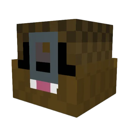 BuBaJu Minecraft avatar head, 3D render