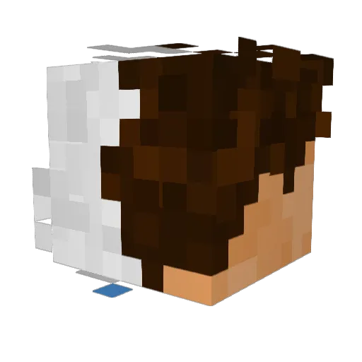 BuBoBe Minecraft avatar head, 3D render
