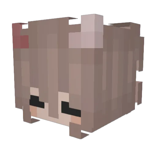 BuKeLaMuN26 Minecraft avatar head, 3D render