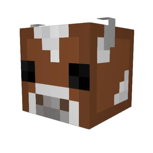 Bua207 Minecraft avatar head, 3D render
