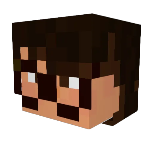 Buafle Minecraft avatar head, 3D render