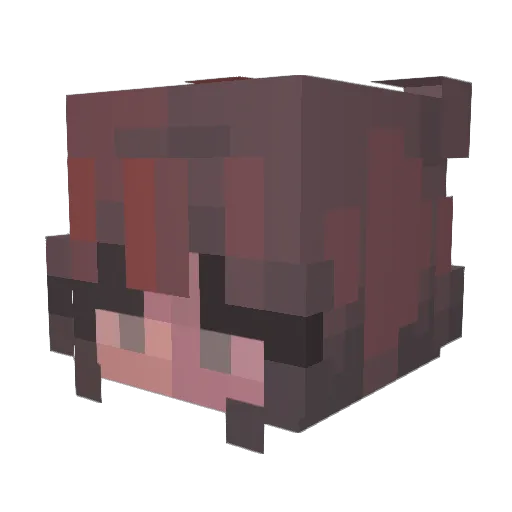 BubBubs05 Minecraft avatar head, 3D render
