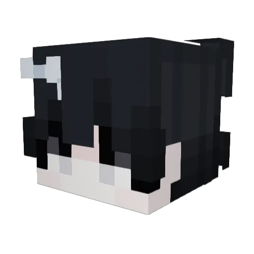 Bubb7eT3A Minecraft avatar head, 3D render