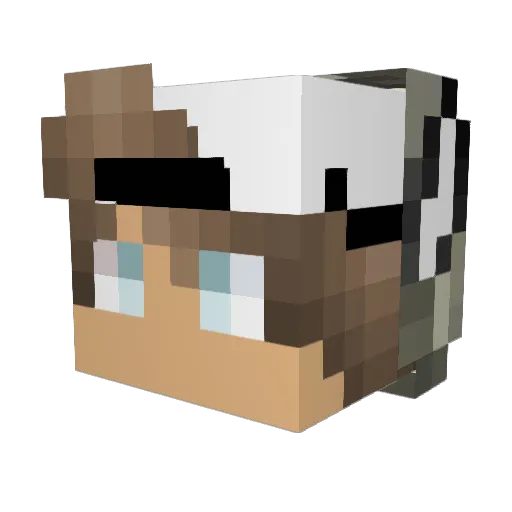 Bubba1654 Minecraft avatar head, 3D render