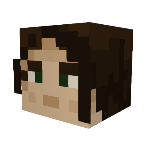 Bubba3536 Minecraft avatar head, 3D render