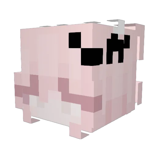 Bubba951 Minecraft avatar head, 3D render