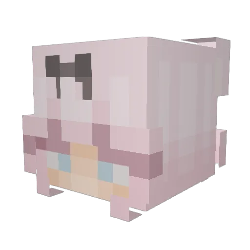 Bubba_Gum Minecraft avatar head, 3D render
