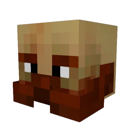 Bubba_Hotep Minecraft avatar head, 3D render