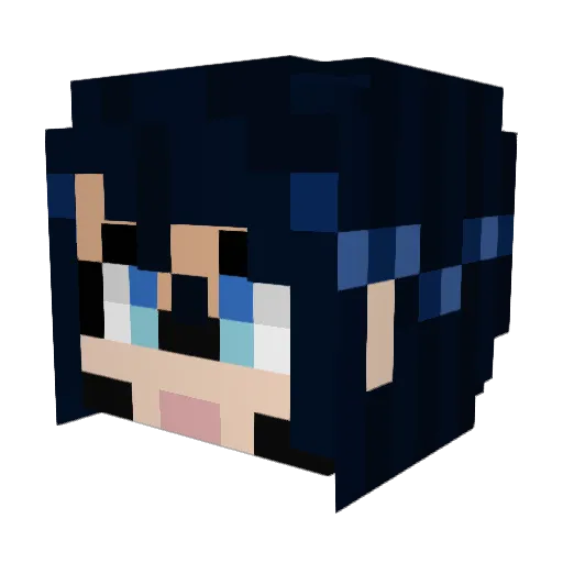 Bubba_J83 Minecraft avatar head, 3D render