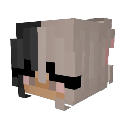 Bubbafishy2 Minecraft avatar head, 3D render