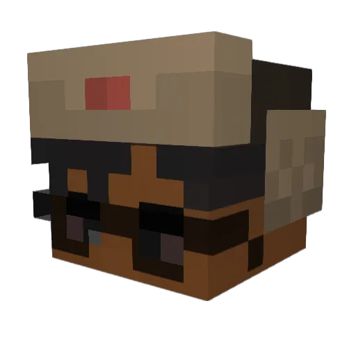 BubbelRubbelBOT Minecraft avatar head, 3D render