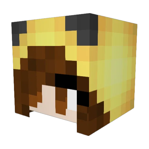 Bubblan_ Minecraft avatar head, 3D render