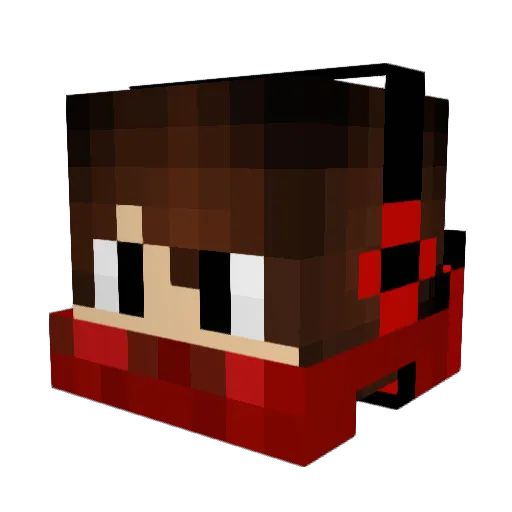BubbleBag Minecraft avatar head, 3D render