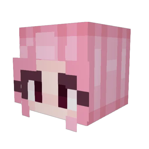BubbleBaph Minecraft avatar head, 3D render
