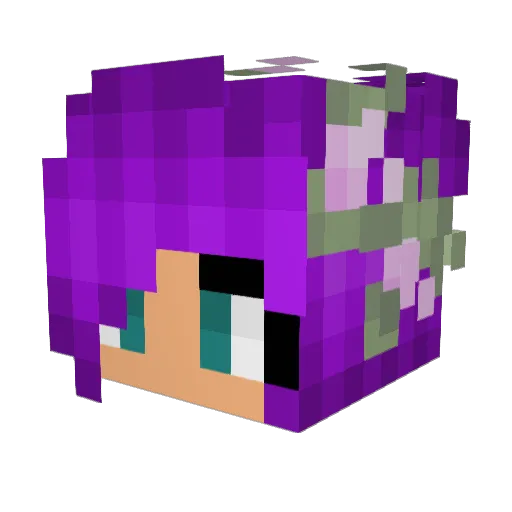 BubbleBubbish Minecraft avatar head, 3D render