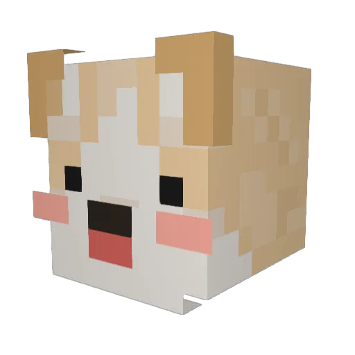 BubbleButCorgi Minecraft avatar head, 3D render
