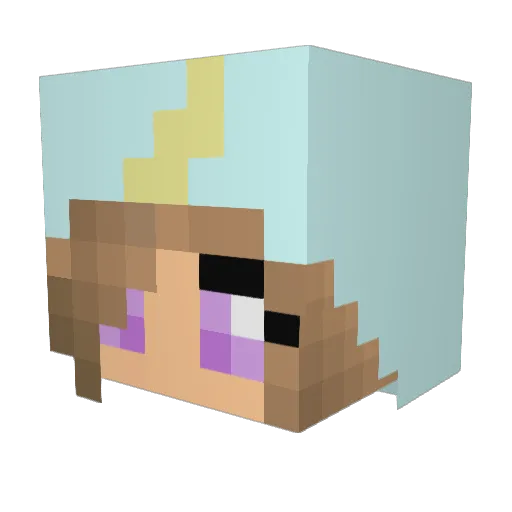 BubbleCoookie101 Minecraft avatar head, 3D render