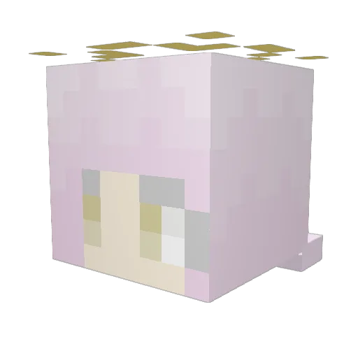 BubbleDummy Minecraft avatar head, 3D render