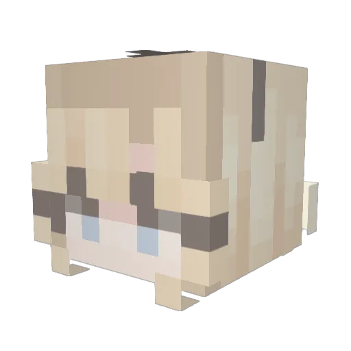 BubbleDvA Minecraft avatar head, 3D render