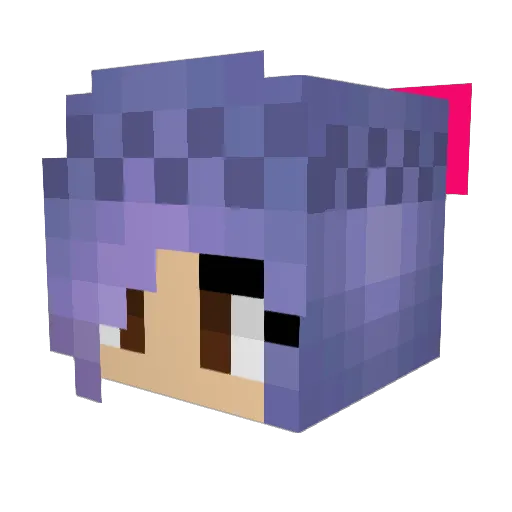 BubbleLover321 Minecraft avatar head, 3D render