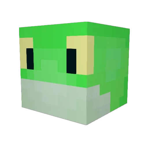 BubblePuppy12 Minecraft avatar head, 3D render