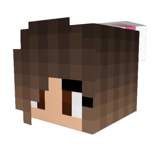 BubbleTeaAddict Minecraft avatar head, 3D render