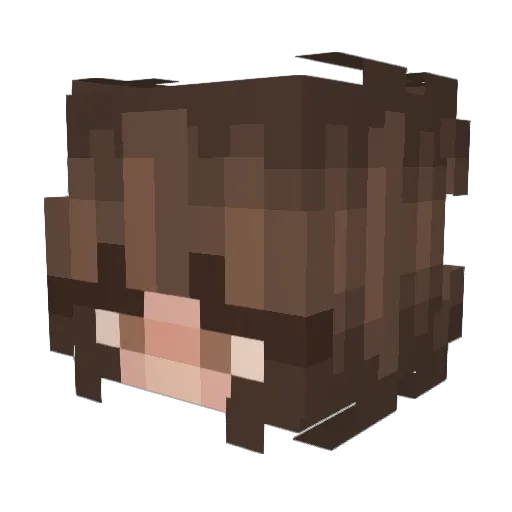 Bubble_Byte Minecraft avatar head, 3D render