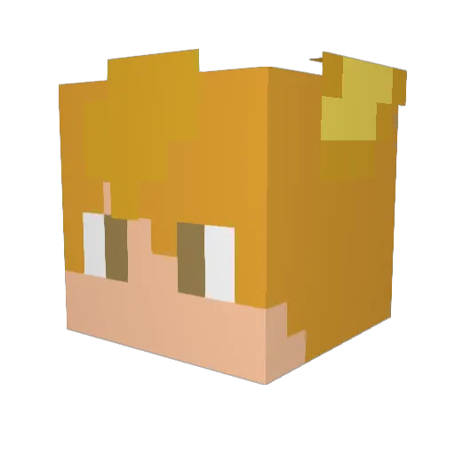 Bubbleberry123 Minecraft avatar head, 3D render